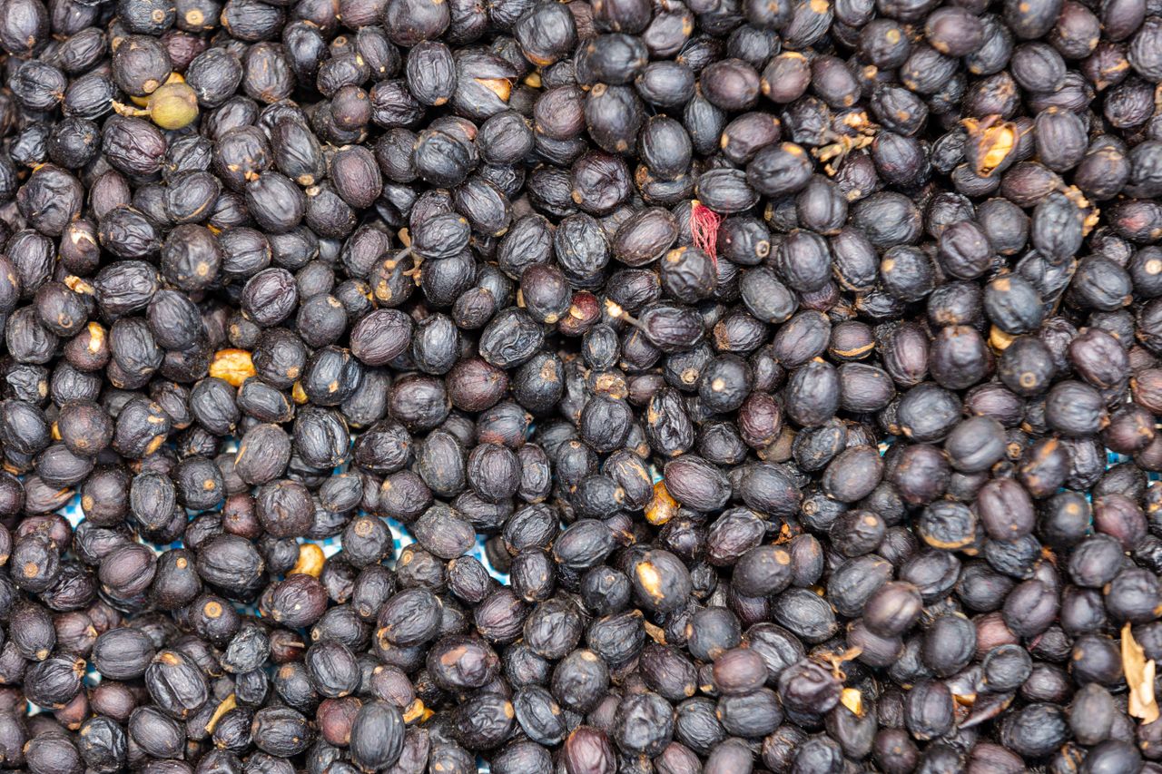 about-04 A close-up view of dried black plums, showcasing their texture and color in abundance.